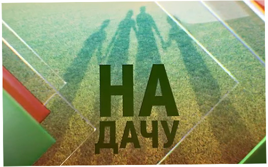 NA_DACHU_