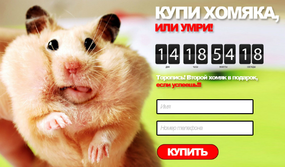 Как не «пролететь» с конверсией на посадочной странице?. маркетинг, полезные советы | Комплексный интернет-маркетинг от seo студии Optimism хомяк2