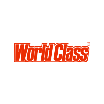 Поисковое продвижение сайта компании World Class SEO продвижение World Class