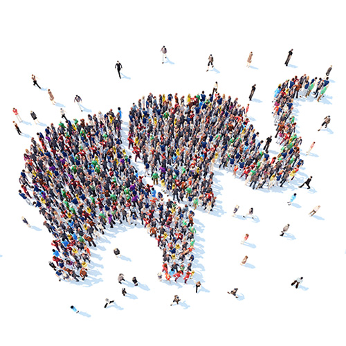 Продвижение интернет-магазина